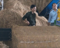 Ép khô