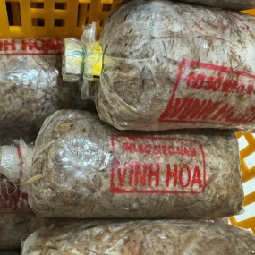 Hình ảnh thật từ trại nấm sử dụng meo nấm rơm VINH HOA