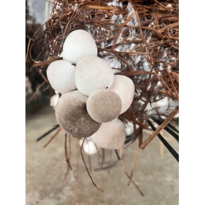 Hình ảnh thật từ trại nấm sử dụng meo nấm rơm VINH HOA