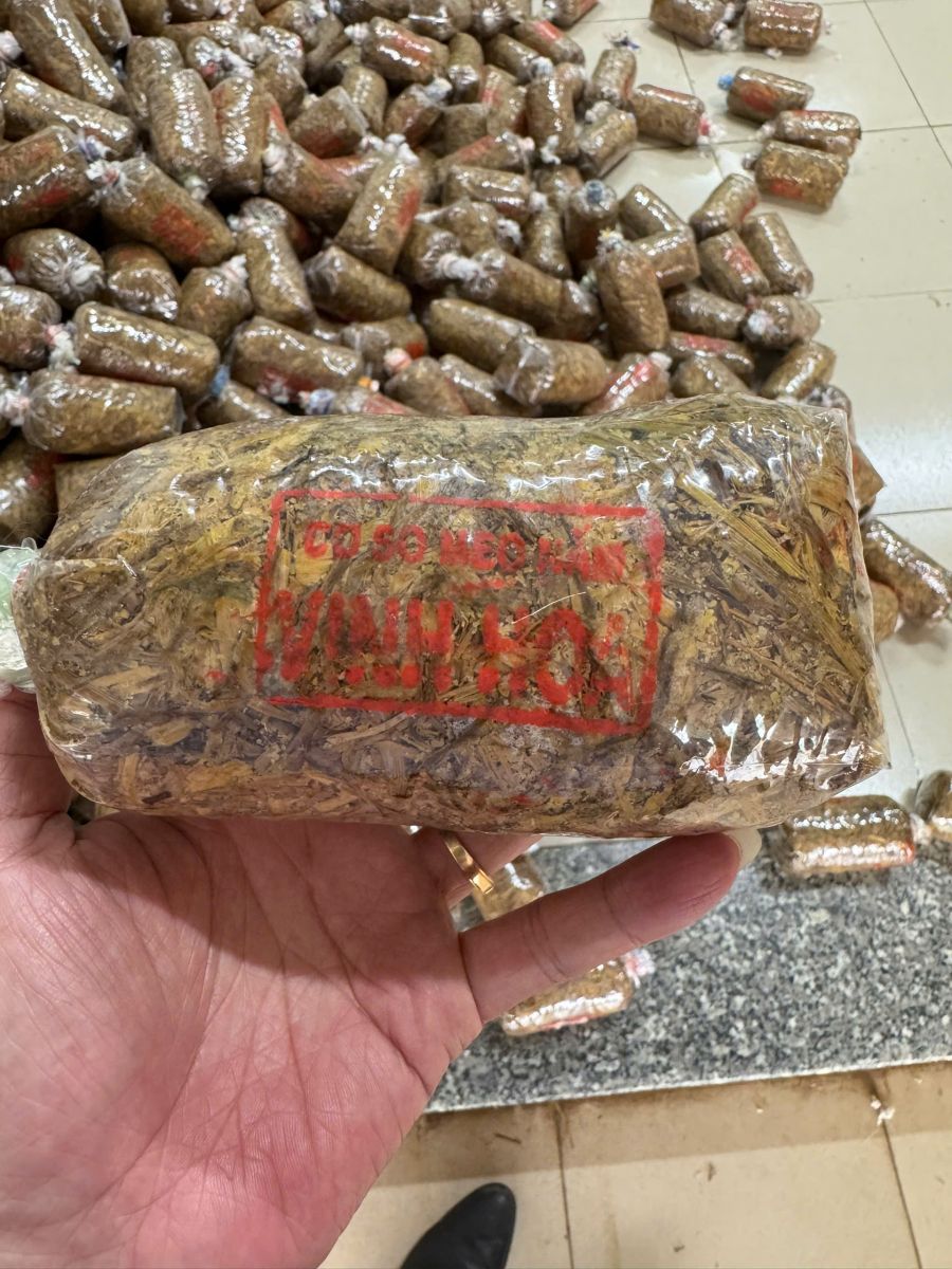 meo nấm rơm hậu giang