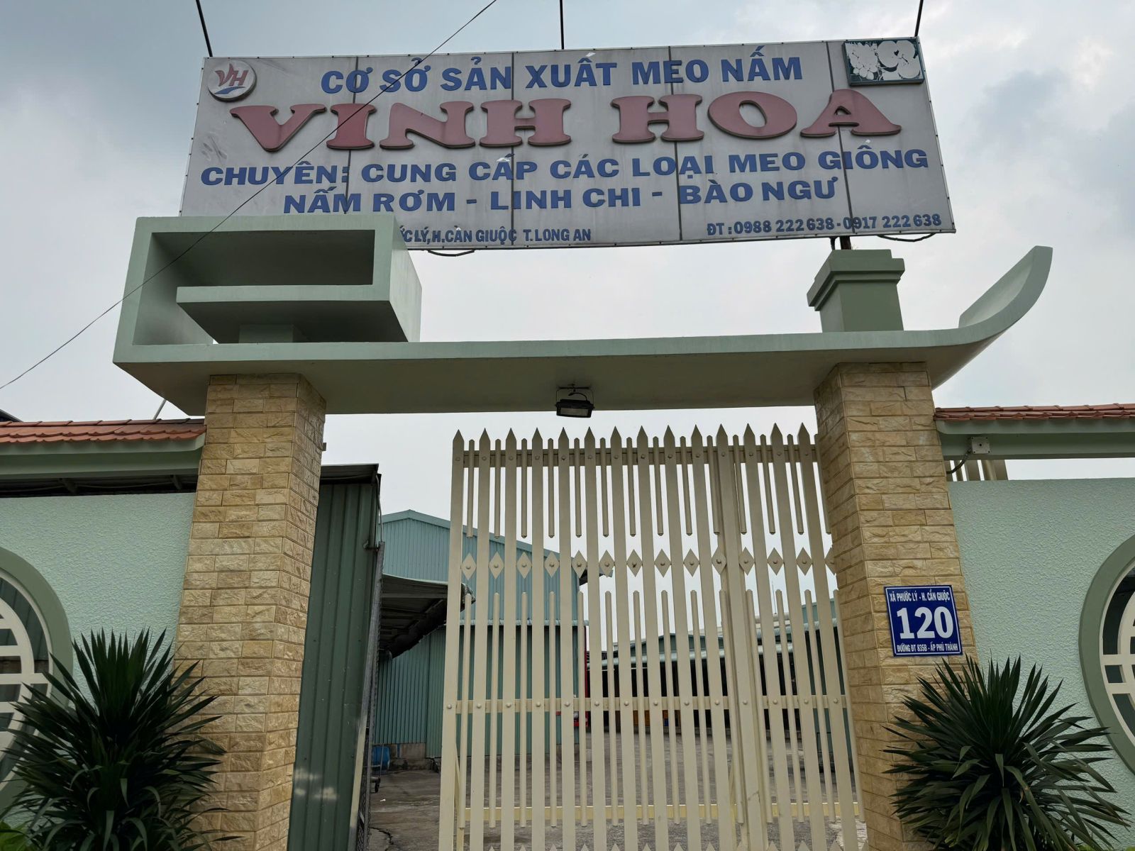 meo nam rom dong thap