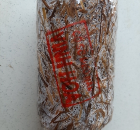 Meo nấm rơm Vinh Hoa 3