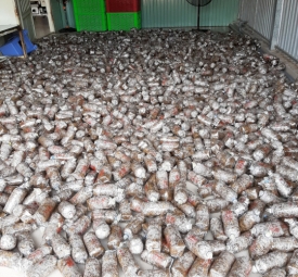 Meo nấm rơm Vinh Hoa 4