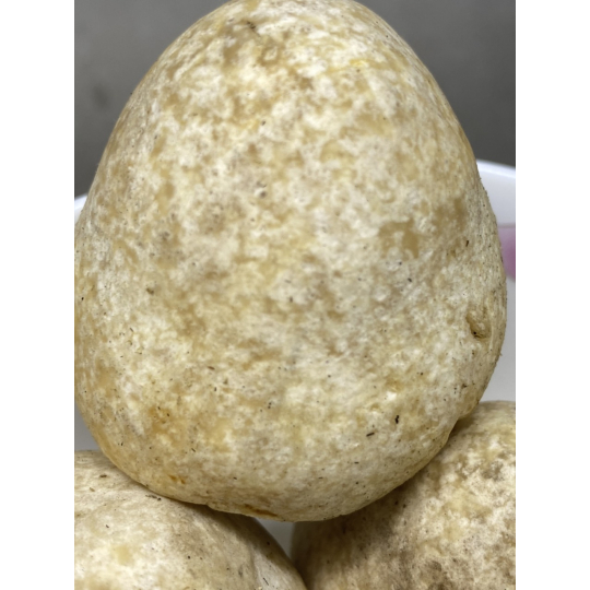 Meo Nấm Rơm - năng suất cao