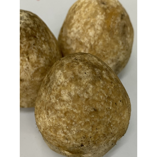 Meo Nấm Rơm - năng suất cao