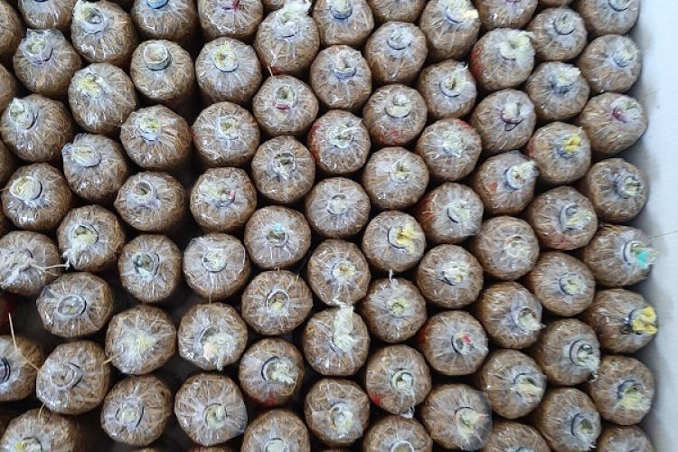 Giống meo nấm rơm mới nhất