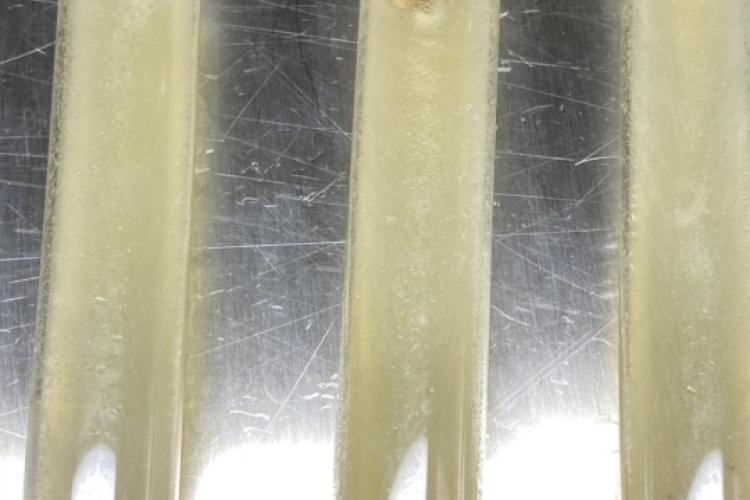 Giống meo nấm rơm mới nhất