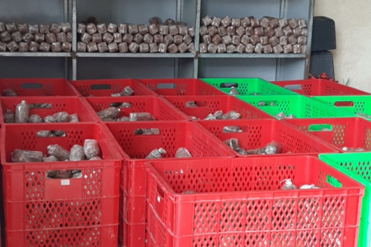 Meo nấm rơm Vinh Hoa 4
