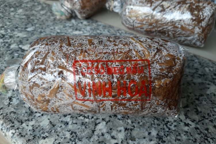 Meo nấm rơm Vinh Hoa 2